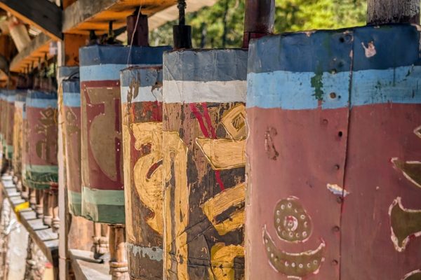 PXL_20241116_042210141~2