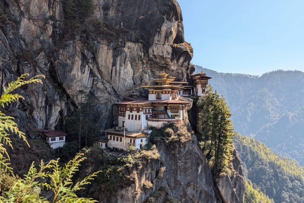 PXL_20241116_052345050.MP~2