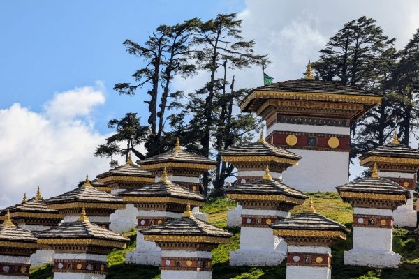 PXL_20241119_042955332~3