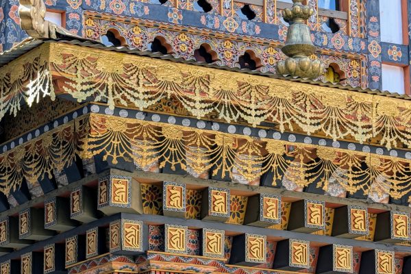 PXL_20241119_061449623~2