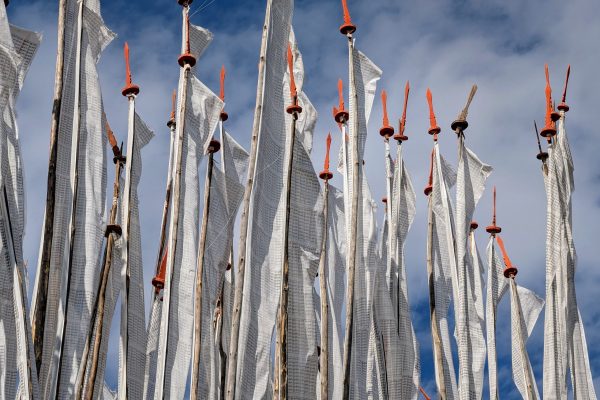 PXL_20241119_070445820~2