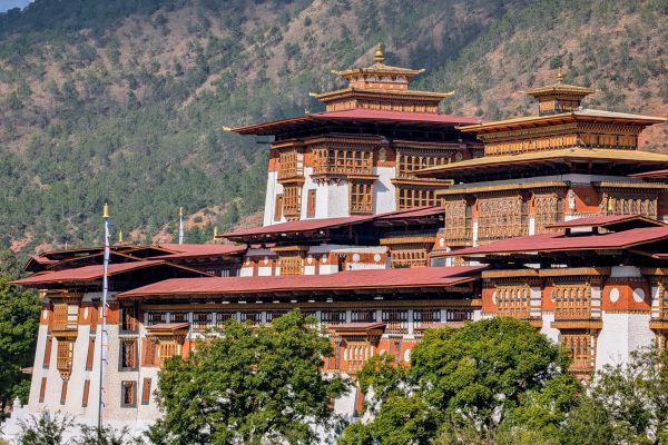 PXL_20241119_073617344~2