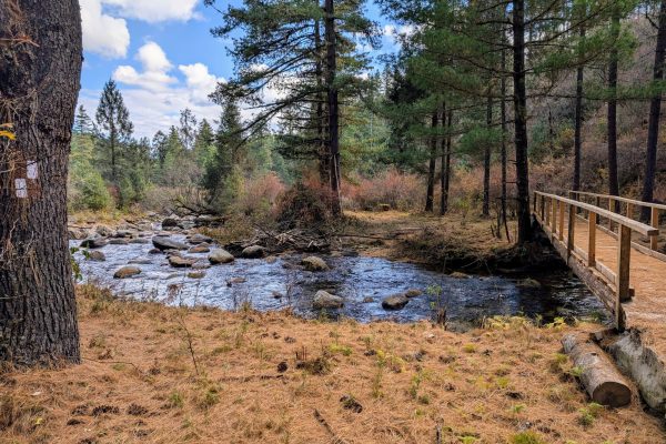 PXL_20241120_081004047~2