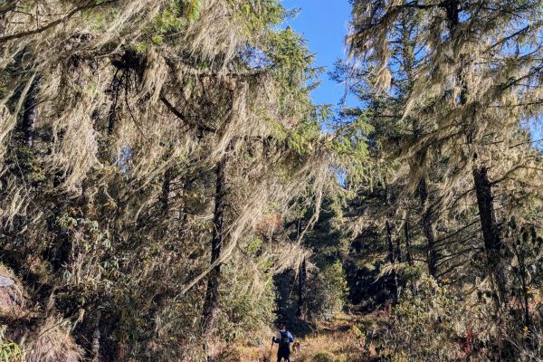 PXL_20241121_031229133~2 (1)