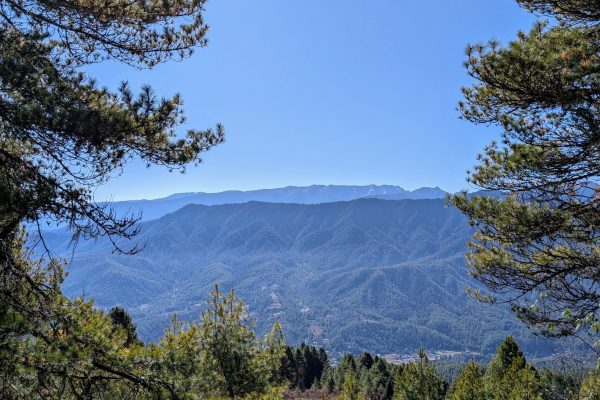 PXL_20241121_033904030~2 (1)