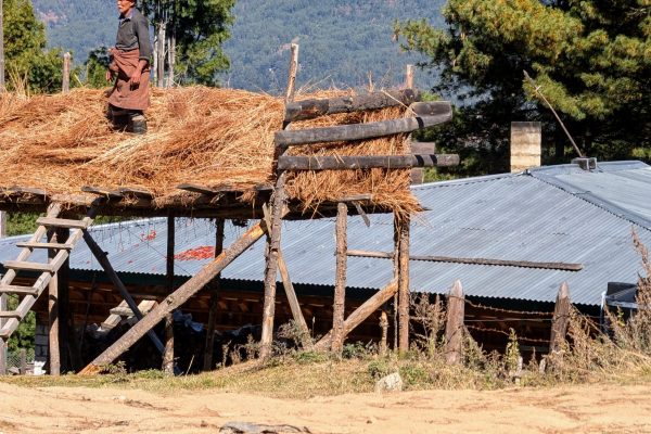 PXL_20241121_044830314~2 (1)