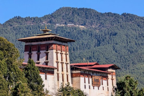 PXL_20241121_050242964~2 (1)