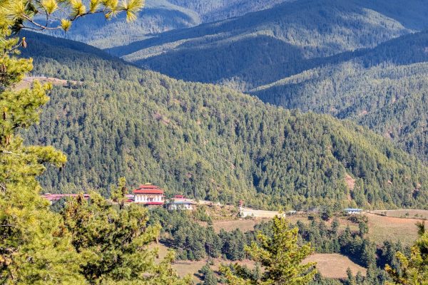 PXL_20241121_073218226~2 (1)