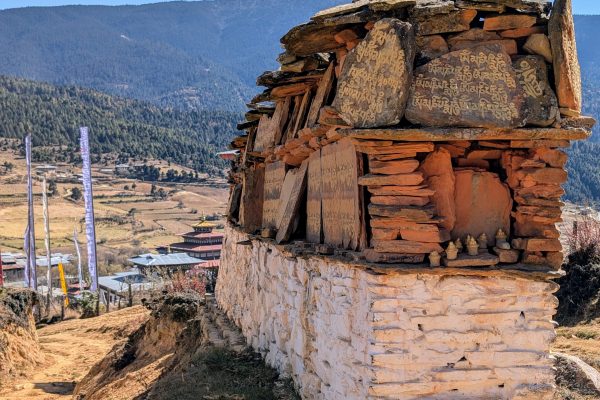 PXL_20241122_054414220~2