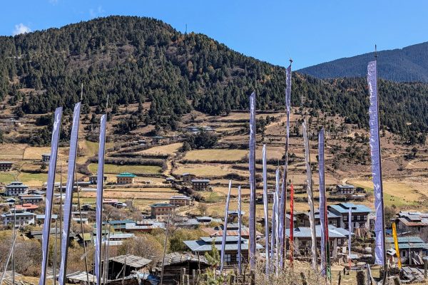 PXL_20241122_054556557~2