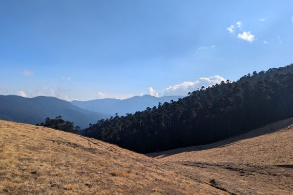 PXL_20241122_083028284 (1)