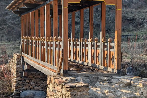 PXL_20241122_091538509.MP (1)