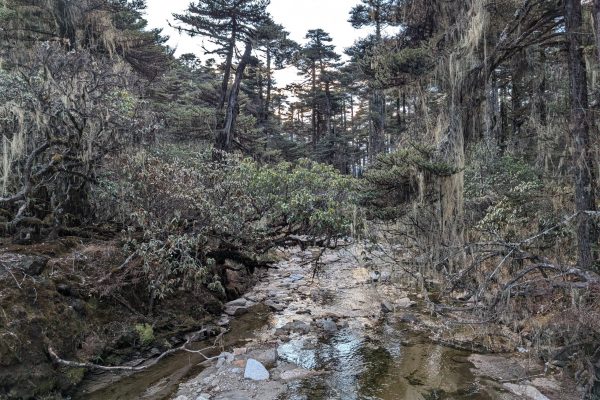 PXL_20241122_104534022 (1)