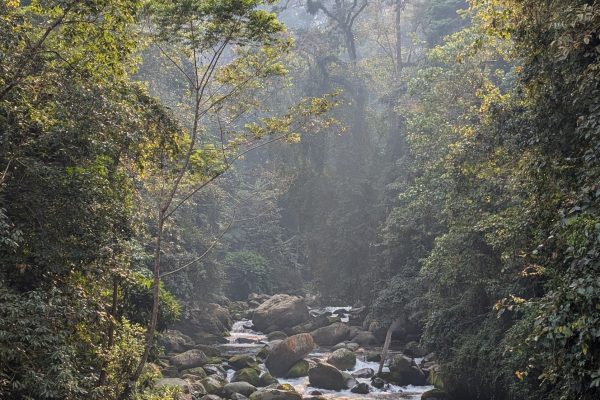 PXL_20241123_080859866 (1)