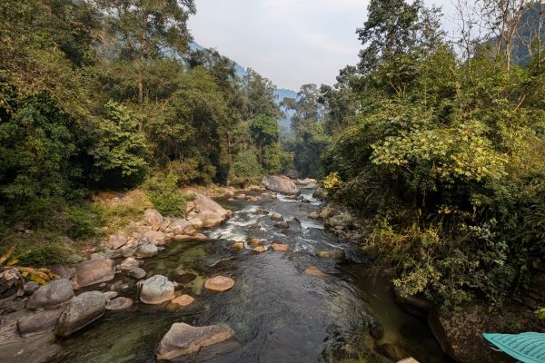 PXL_20241123_080940500 (1)