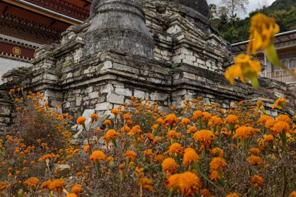 PXL_20241124_064128530