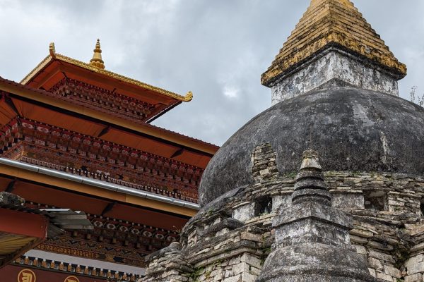 PXL_20241124_064425280