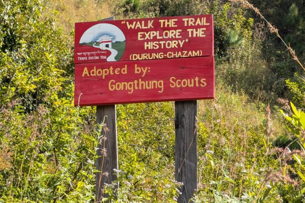 PXL_20241125_061926042