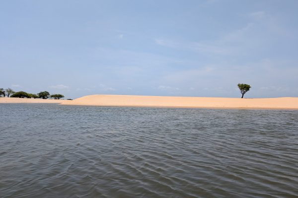 PXL_20240909_144426308.MP