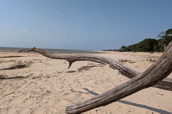 PXL_20240910_120920988.MP