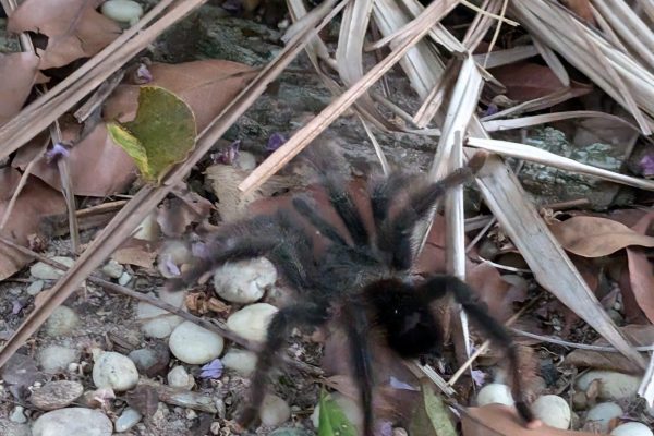 PXL_20240912_095514427