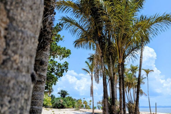 PXL_20251110_160423656.MP~2