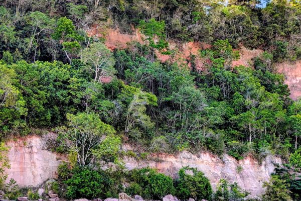 PXL_20251110_190955897~2