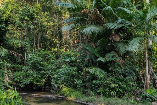 PXL_20251110_194824567