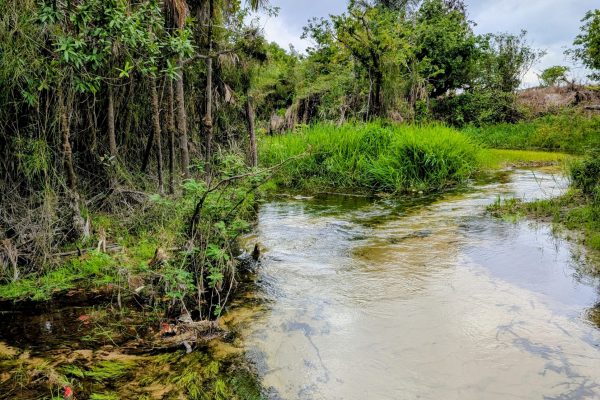 PXL_20251111_122344560.MP~2