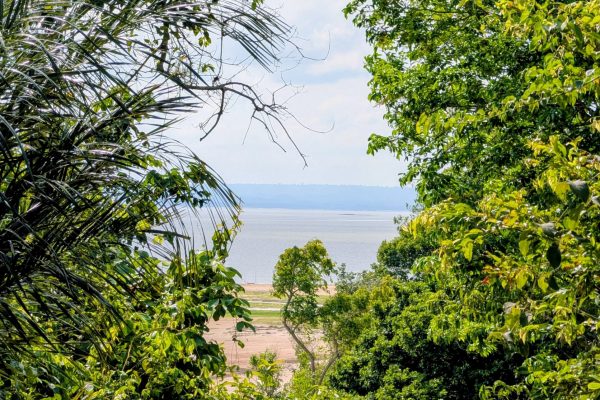 PXL_20251112_122104967~2