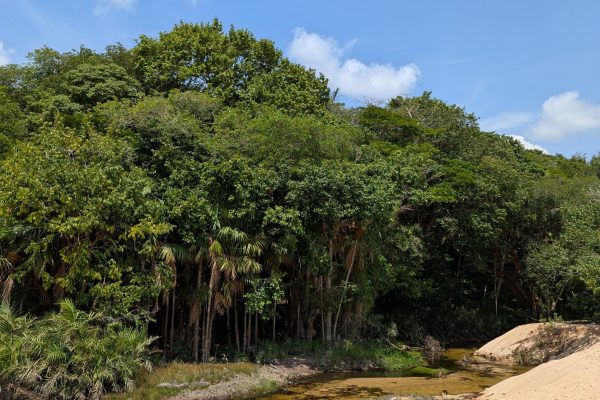 PXL_20251112_142536061