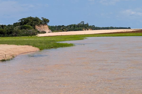 PXL_20251112_153132816.MP