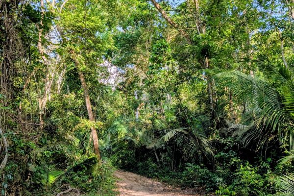 PXL_20251112_191310393.MP~3