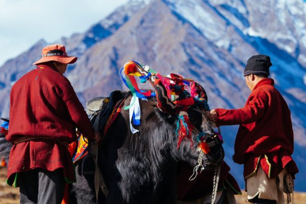 Royal Highland Festival-5